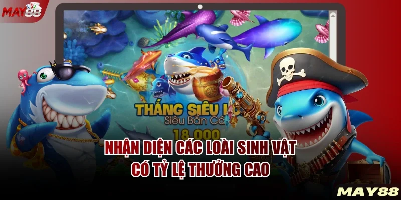 Nhận diện các loài sinh vật có tỷ lệ thưởng cao